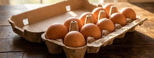Fresh brown eggs in a cardboard carton